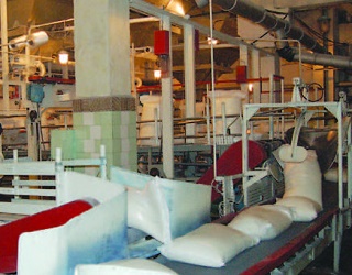Кашперівський цукровий завод розпочав виробництво